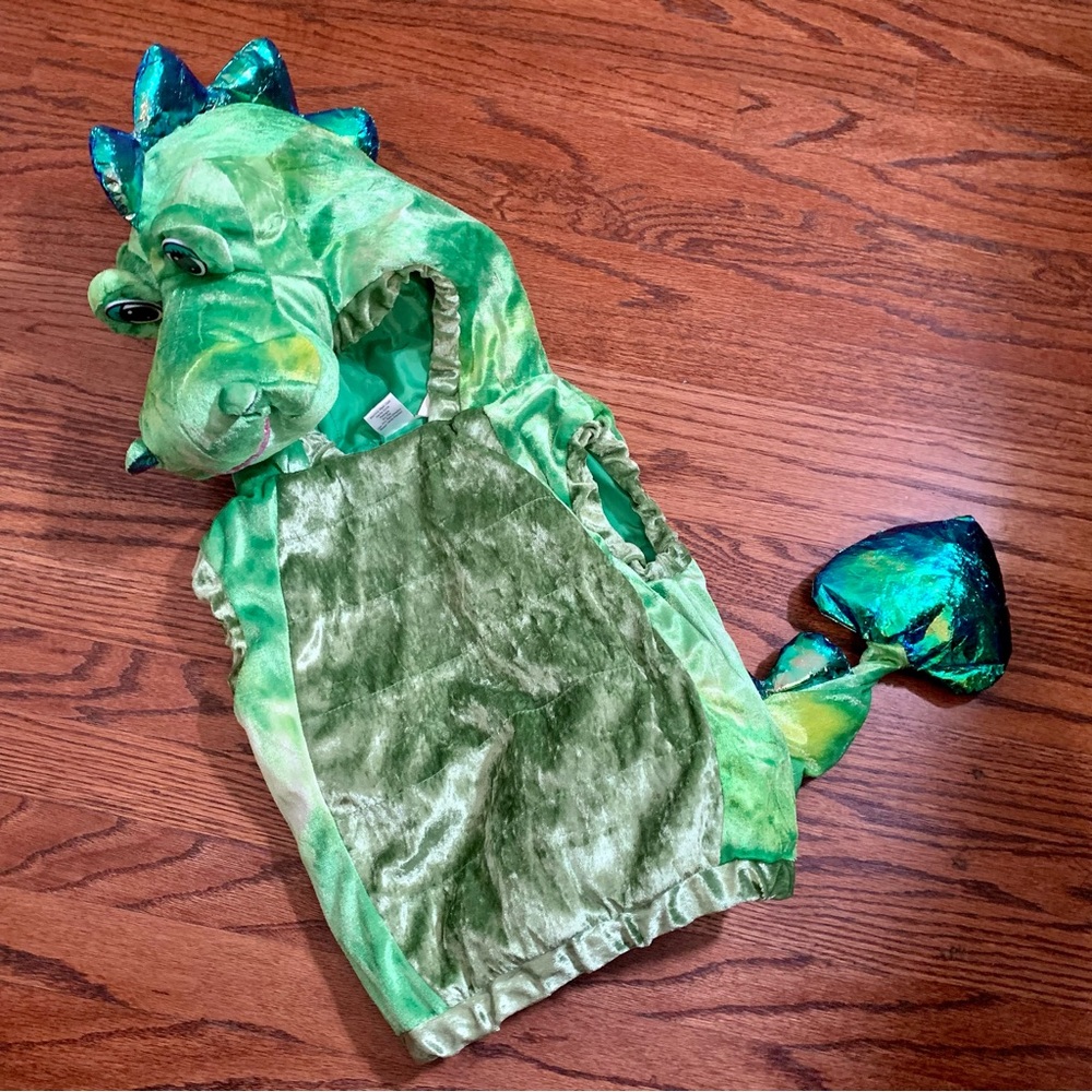 Dragon/Dinosaur Costume Child Halloween Green